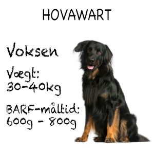 Hovawart_vægt2