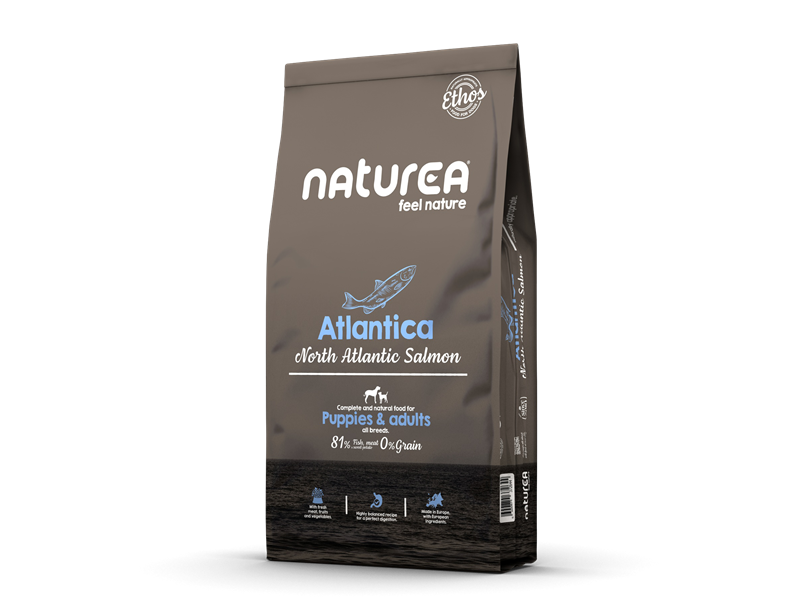 Atlantica 10kg